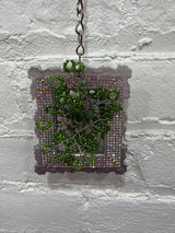 silver frame with pastel flowers & eucalyptus